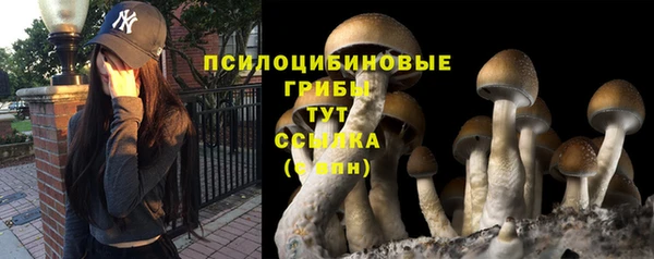 сатива Арсеньев